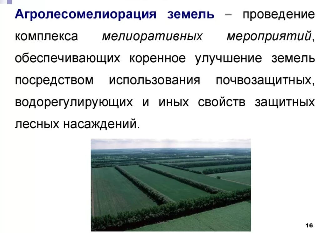 Проводящие комплексы. Агролесомелиорация мелиорация. Полезащитная агролесомелиорация земель. Комплекса мелиоративных мероприятий. Мелиорация мероприятия.